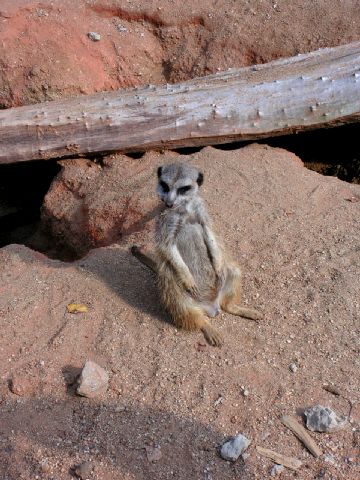 2009_09_12_v brněnské zoo s Markétou a Jožkama (39).JPG
