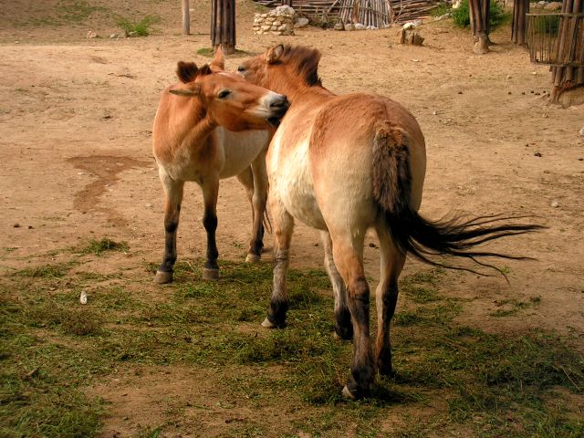 2009_09_12_v brněnské zoo s Markétou a Jožkama (60).JPG