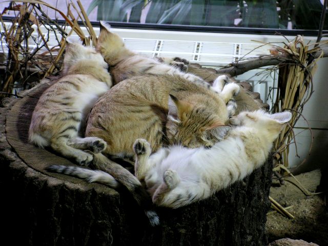 2009_09_12_v brněnské zoo s Markétou a Jožkama (112).JPG