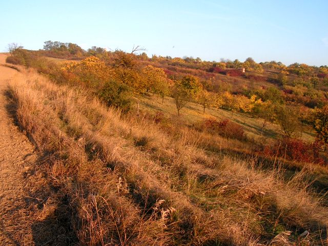 2009_10_25_procházka Výhonem a na rozhlednu.JPG