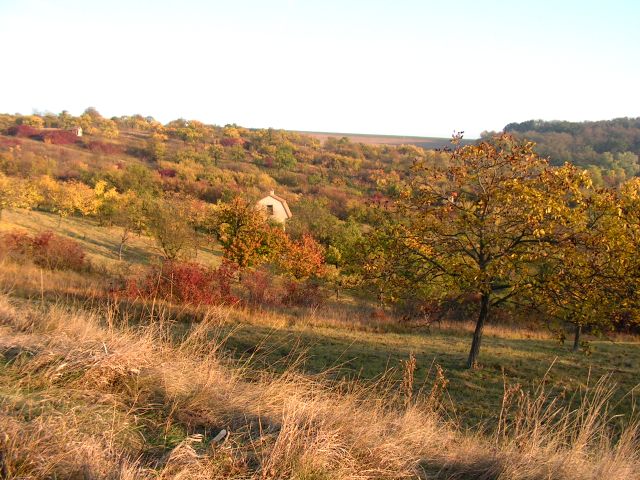 2009_10_25_procházka Výhonem a na rozhlednu (1).JPG
