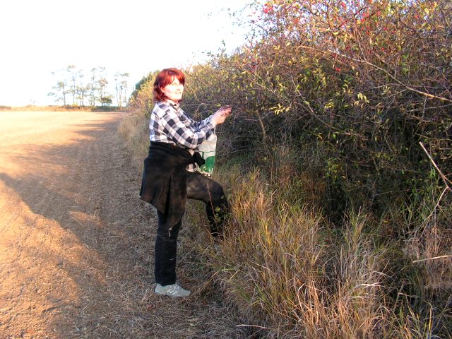 2009_10_25_procházka Výhonem a na rozhlednu (10).JPG