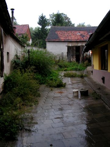 hooodně zarostlý dvoreček